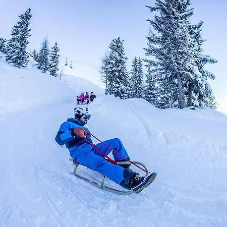 Almhof הוכפוגן