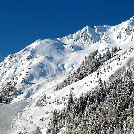 Almhof 4* הוכפוגן