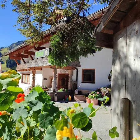 Almhof 4* הוכפוגן