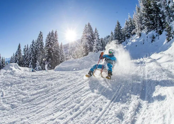Hotel Almhof Hochfügen