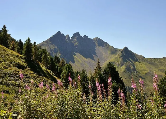 Almhof 4* Hochfügen