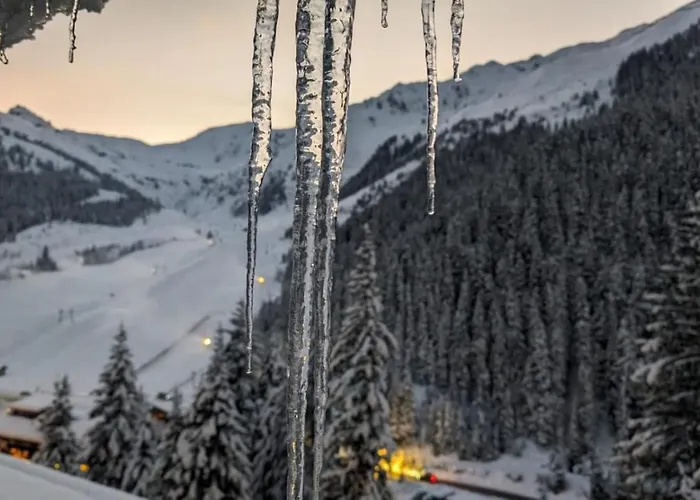 Almhof Hotel Hochfügen