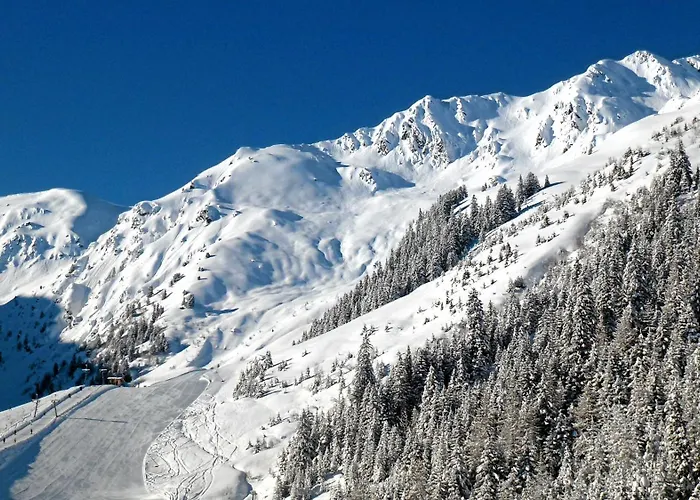 Almhof 4* Hochfügen